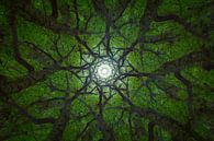 Mandala Trees (2) van Mark Scheper thumbnail