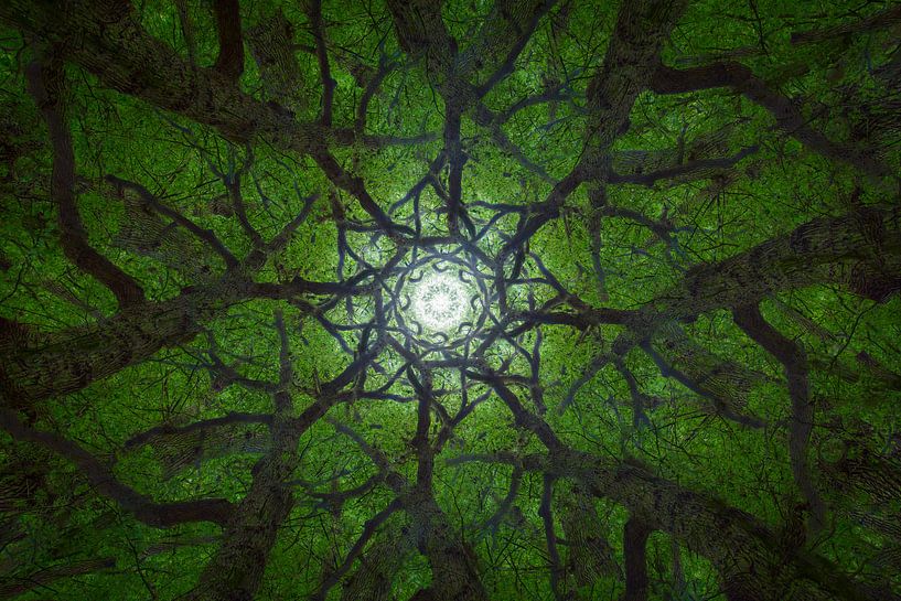 Mandala Trees (2) van Mark Scheper