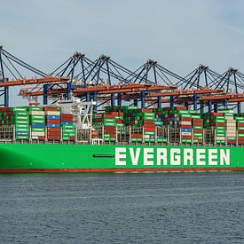 Containerschip Ever Given van Evergreen. van Jaap van den Berg