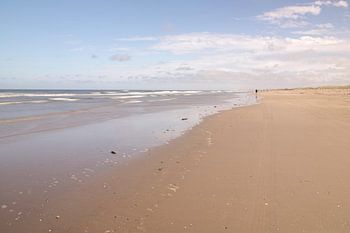 On the edge of sea and beach