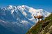 Steinbock und Mont Blanc von Menno Boermans
