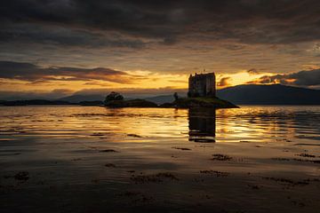 Stalker Gold Abend von Wojciech Kruczynski