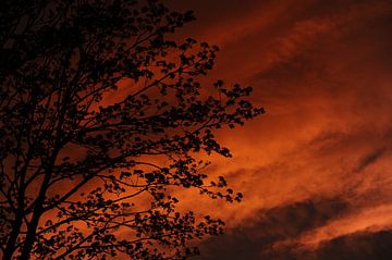 avond foto tijdens de zonsondergang van Armin Wolf