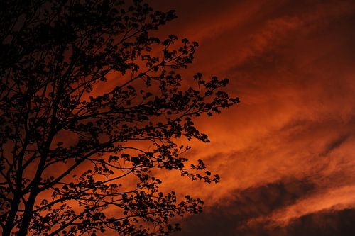 evening photo during the sunset