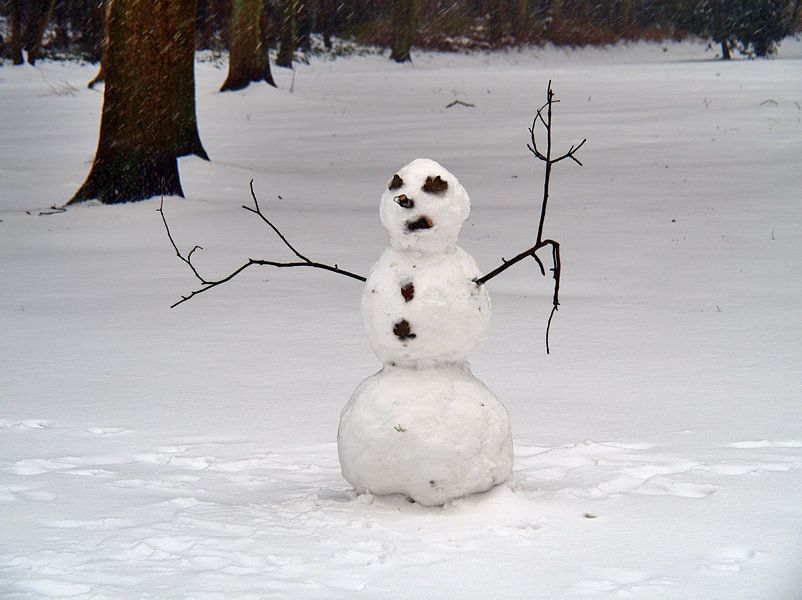 Bonhomme de neige par Edgar Schermaul