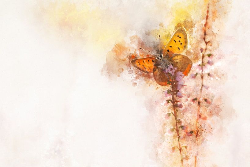 Papillon 16 par Silvia Creemers