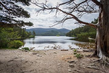 Loch an Eilein, Écosse sur Pieterpb