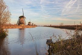 View of the Kinderdijk