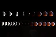 Compilation de l'éclipse lunaire totale en janvier 2019. par Michelle Peeters Aperçu