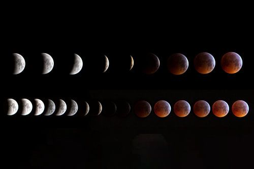 Compilation de l'éclipse lunaire totale en janvier 2019.