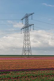 Tulipes près d'un pylône à haute tension sur Patrick Verhoef