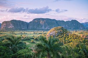 Vinales-vallei in Vinales Cuba magenta versie