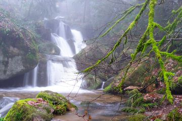 Branche boisée devant une cascade dans une atmosphère de rêve. sur André Post