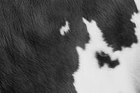 Texture of cowhide