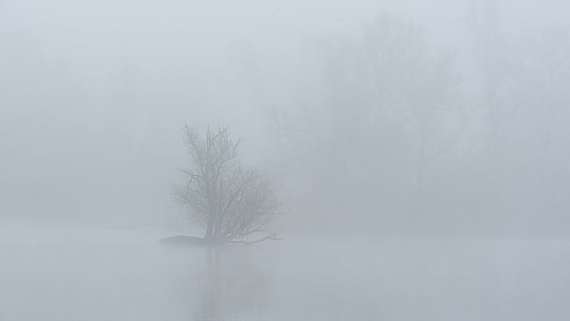 Lonely island in the fog by René Jonkhout