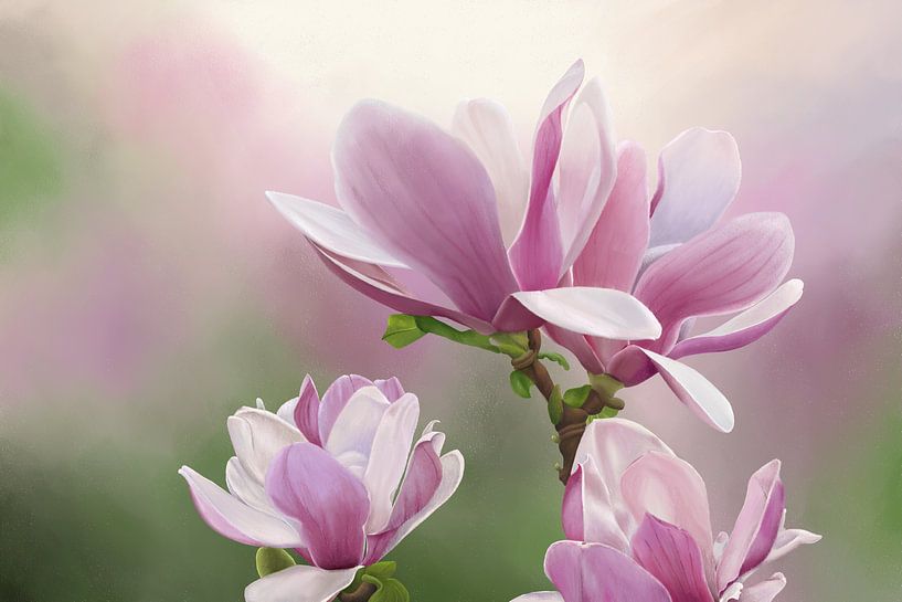 Gemälde von Magnolienblüten von Tanja Udelhofen