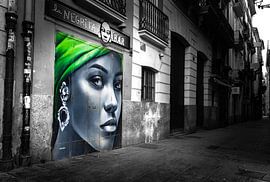 Valencia Straßenkunst von Bart cocquart