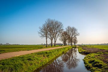 Typische niederländische Polderlandschaft an einem frühen Frühlingsmorgen