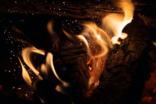 Dancing Flames - Moments intimes au coin du feu