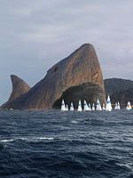 Shark Rock