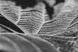 Art of the blade by Jolanda de Jong-Jansen