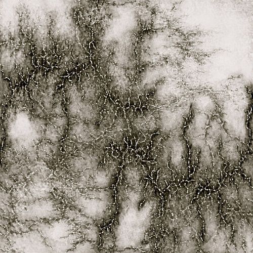 Grey Marble Pattern Black And Silver Vined