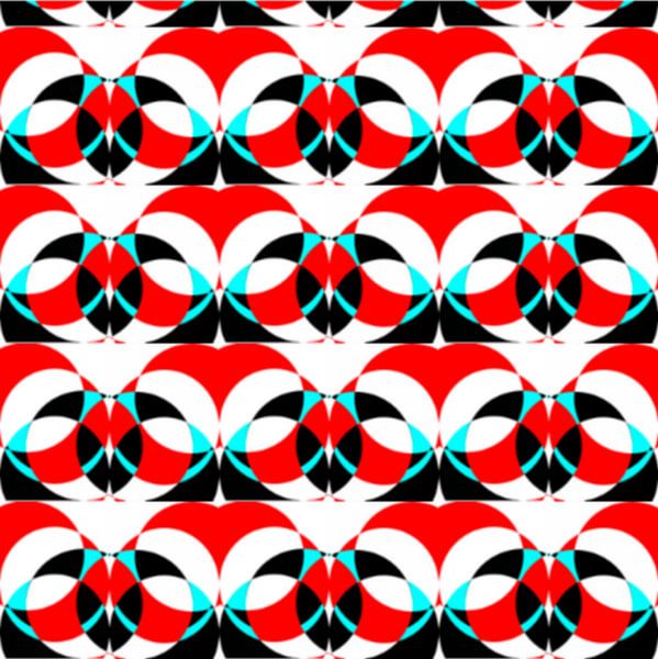 5.fiori van rita sacco