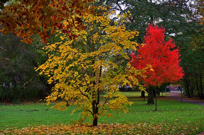 Berger Aue 3 van Edgar Schermaul