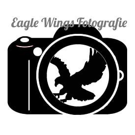 Eagle Wings Fotografie profielfoto