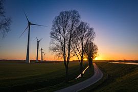 Windmills by Frank Bison