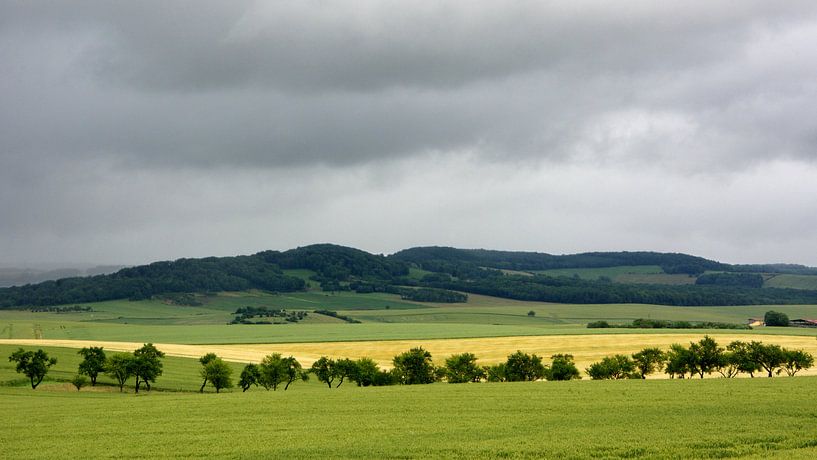 Landscape Vosges by PvdH Fotografie