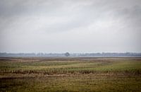 Litauische Landschaft mit Baum von Julian Buijzen Miniaturansicht