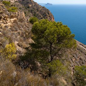 Falaises et Méditerranée sous un ciel bleu sur Adriana Mueller