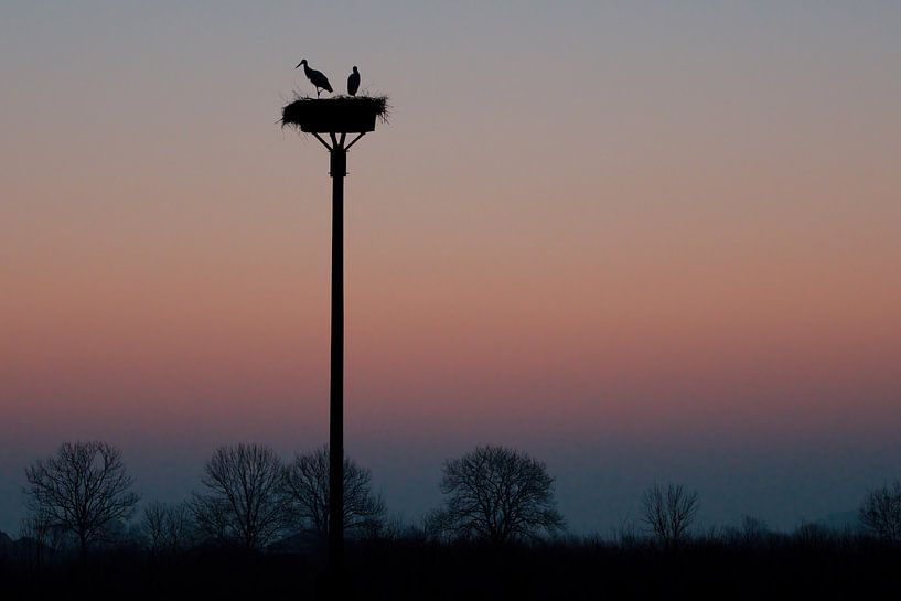 Storch-Silhouette von Willem Hol