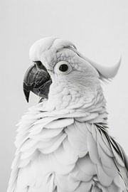 Cockatoo in black and white by Poster Art Shop