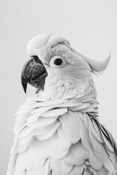 Kaketoe in zwart-wit van Poster Art Shop