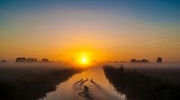 De vroege vogels van Bartlehiem