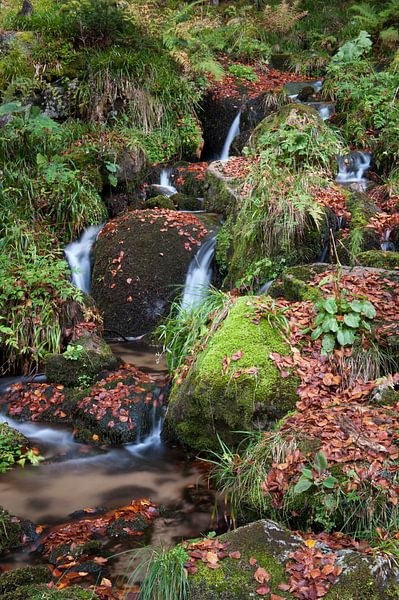 Small waterfall in the Vosges mountains by Wim Slootweg