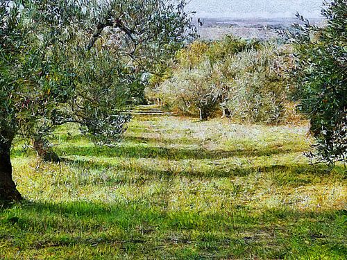 Kijkend naar de olijfgaard