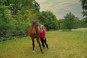 Trakehner Feldmeyer with owner at pasture