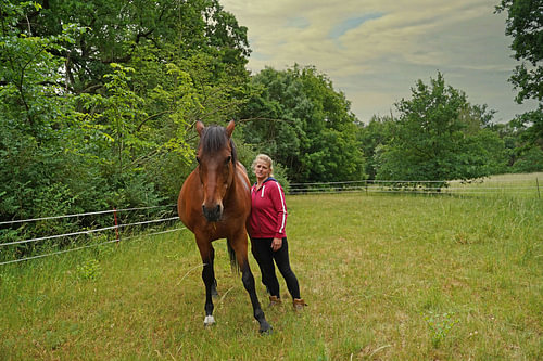 Trakehner Feldmeyer met eigenaar in de wei