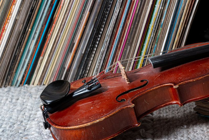 Geige von Thomas Heitz