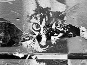 Kattenkunst - Diva 3 van MoArt (Maurice Heuts) thumbnail