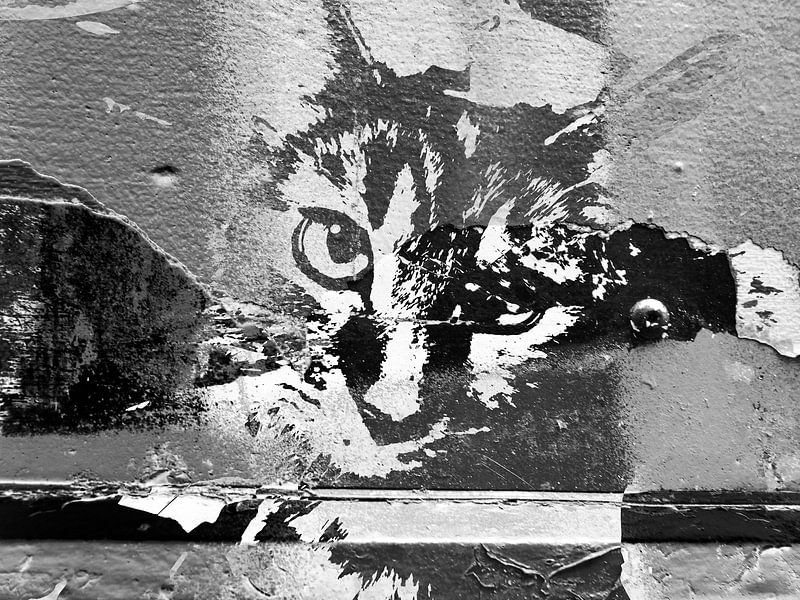 Kattenkunst - Diva 3 van MoArt (Maurice Heuts)