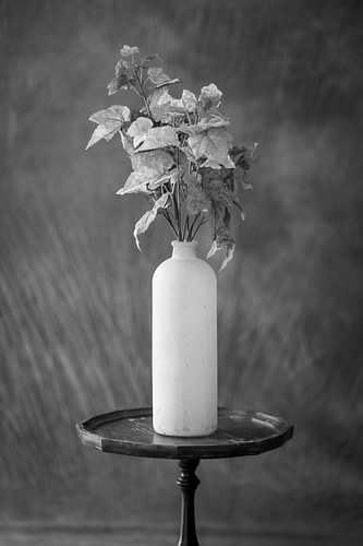 Vase avec feuilles