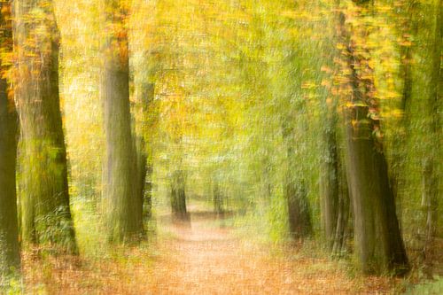 Herfstkleuren creatief