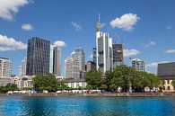 Uitzicht op de skyline van Frankfurt am Main van Udo Herrmann thumbnail