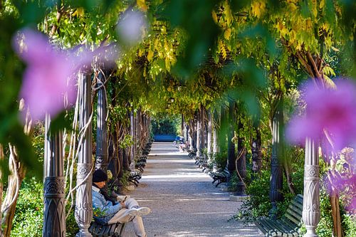 Venedig Giardini Ex Reali