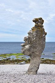 Langhammars by Karin Jähne