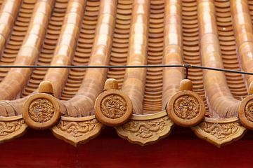 Detail from a roof in the Forbidden City in Beijing, China sur Ingrid Meuleman